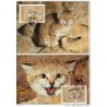 Serie de tarjeta postal  yemen 1989