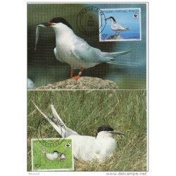 Serie de tarjeta postal  benin 1989