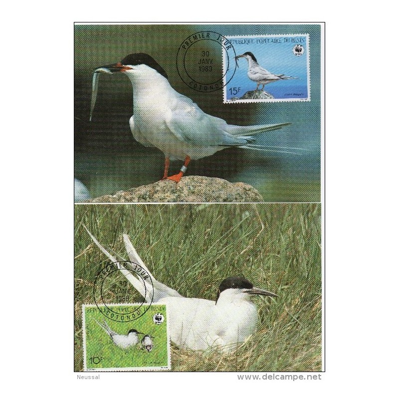 Serie de tarjeta postal benin 1989 Serie de tarjeta postal benin 1989