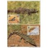 Serie de tarjeta postal  congo 1987