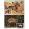 Serie de tarjeta postal  cote ivore  1985