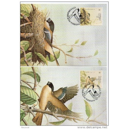 Serie de tarjeta postal  portugalacores 1990