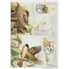 Serie de tarjeta postal  portugalacores 1990