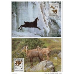 Serie de tarjeta postal  albania 1990