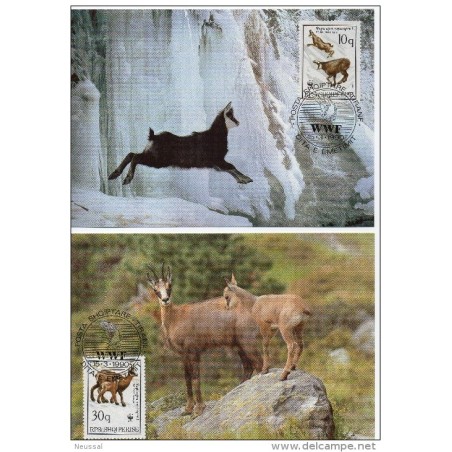 Serie de tarjeta postal  albania 1990