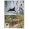 Serie de tarjeta postal  albania 1990