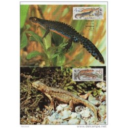 Serie de tarjeta postal  checoslovaquia 1989