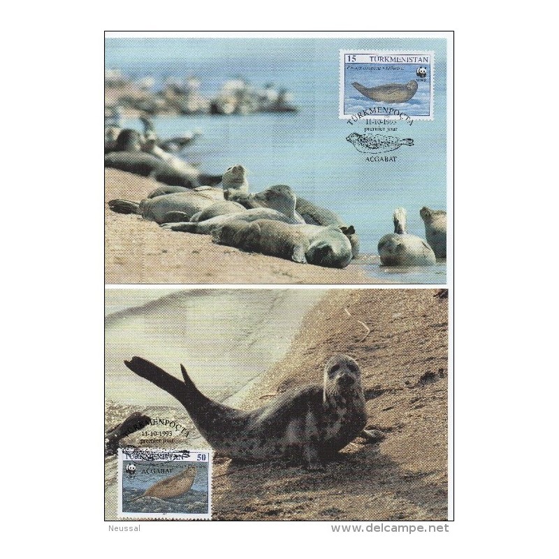 Serie de tarjeta postal turkmenistan 1993 Serie de tarjeta postal turkmenistan 1993