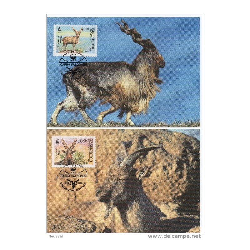 Serie de tarjeta postal uzbekistan 1995 Serie de tarjeta postal uzbekistan 1995