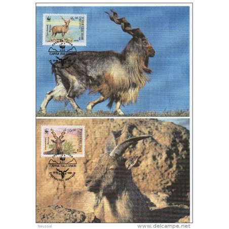 Serie de tarjeta postal  uzbekistan 1995