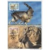 Serie de tarjeta postal  uzbekistan 1995