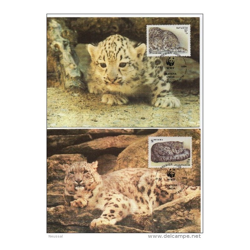 Serie de tarjeta postal kazakistan 1994 Serie de tarjeta postal kazakistan 1994