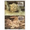 Serie de tarjeta postal  kazakistan 1994