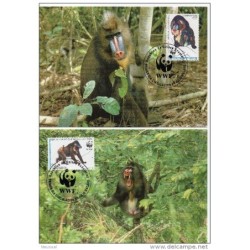 Serie de tarjeta postal  guniea ecuatorial de 1991