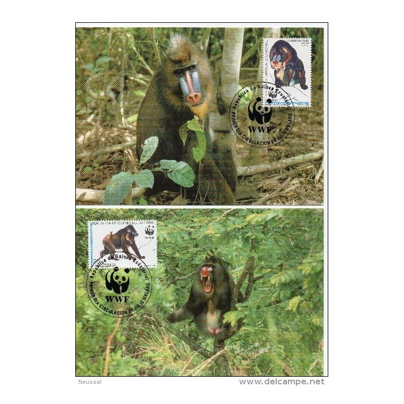 Serie de tarjeta postal guniea ecuatorial de 1991 Serie de tarjeta postal guniea ecuatorial de 1991