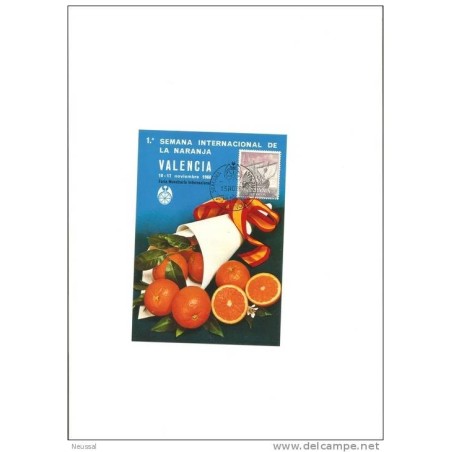 Tarjeta de naranjas