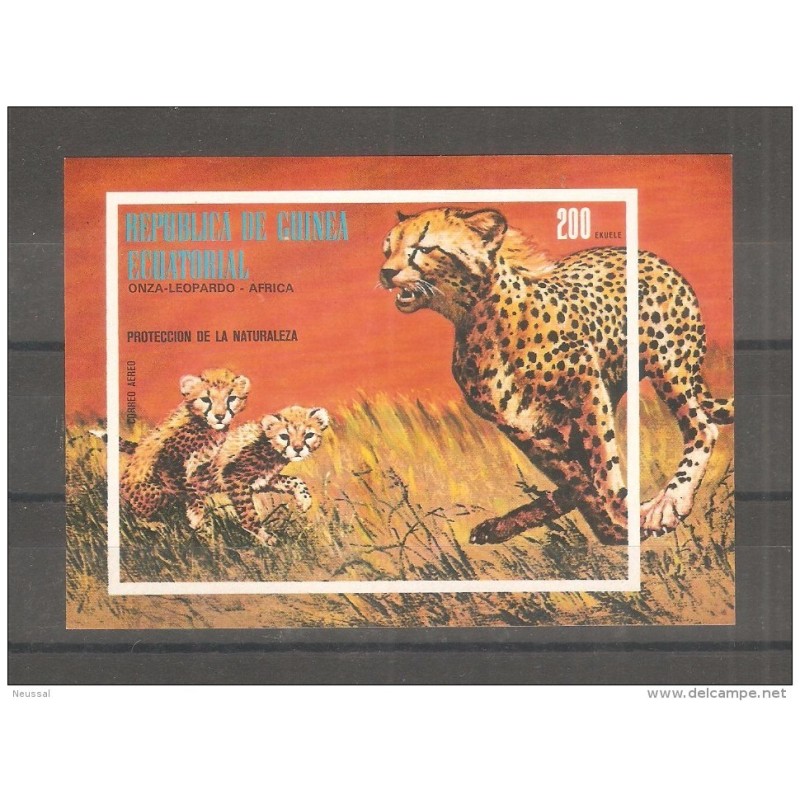 Hb de guinea ecuatorial leopardo Hb de guinea ecuatorial leopardo