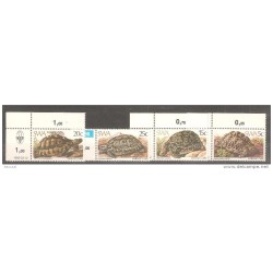Serie  de swa tortugas