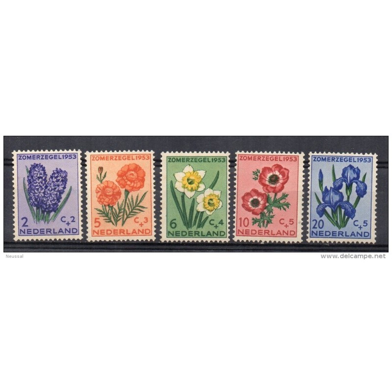 Serie n 5904 nederland Serie n 5904 nederland