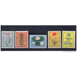 Serie n 71923 nederland