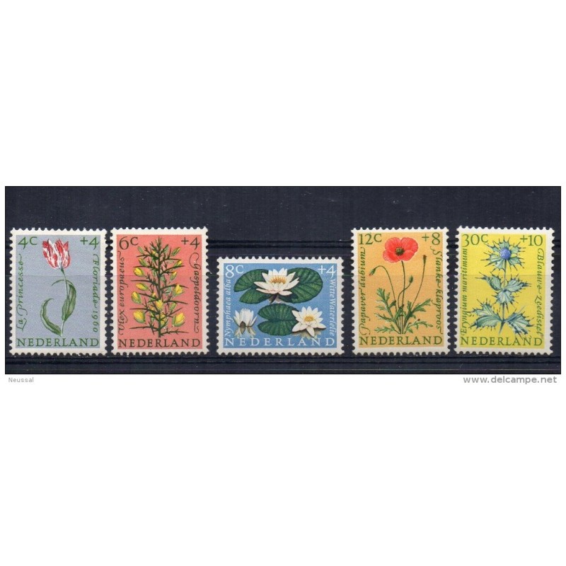 Serie n 71923 nederland Serie n 71923 nederland