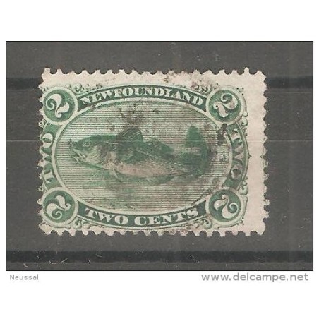 Sello n 21 newfoundland