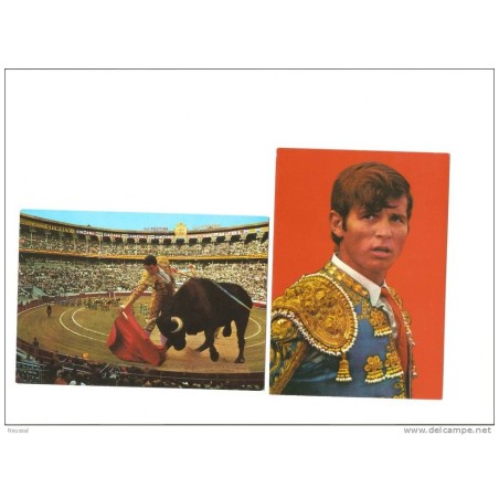 2 tarjetas toros