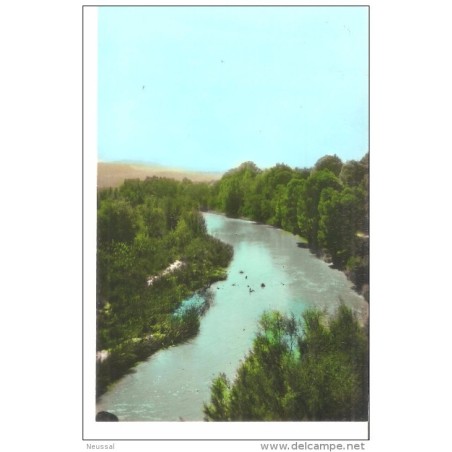 Tarjeta postal de requena