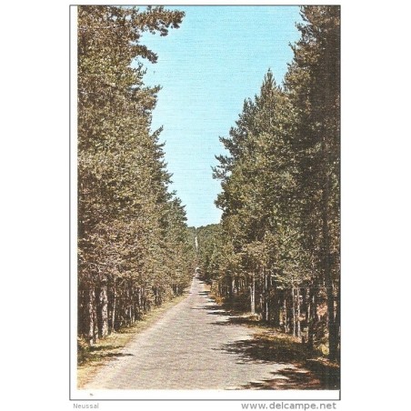 Tarjeta postal de orihuela del tremedal teruel reserva caza mayor