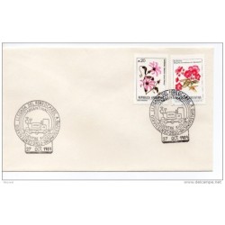 Carta de Argentina con matasellos tren 1989