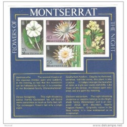 Hb13 montserrat