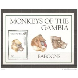 Hb233 gambia