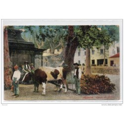 Tarjeta postal madeiracarca de bois