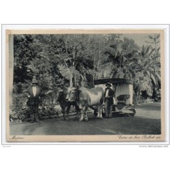 Tarjeta postal madeira carro de bois
