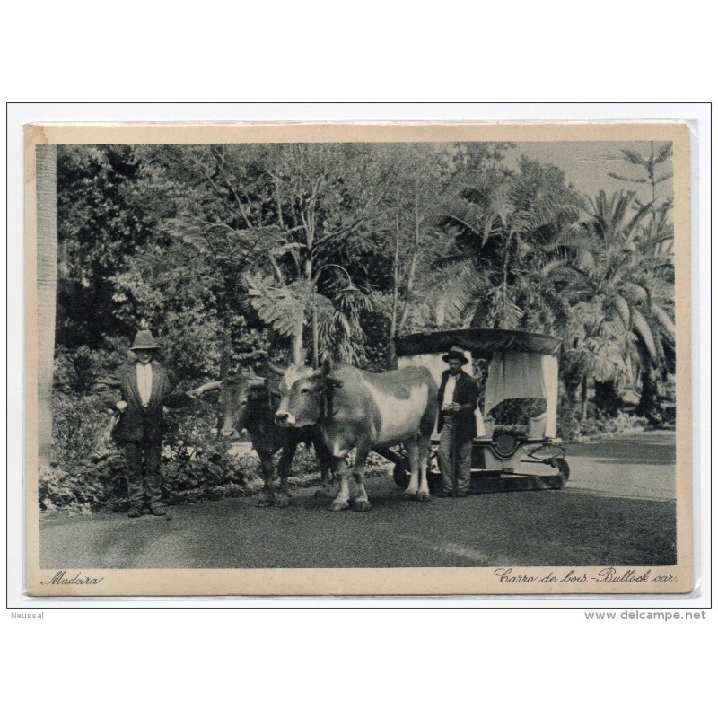 Tarjeta postal madeira carro de bois