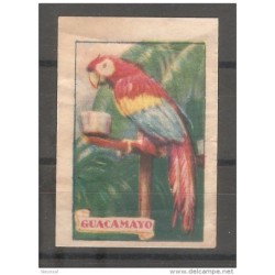 Cromo antiguo guacamayo