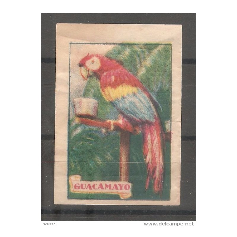 Cromo antiguo guacamayo Cromo antiguo guacamayo