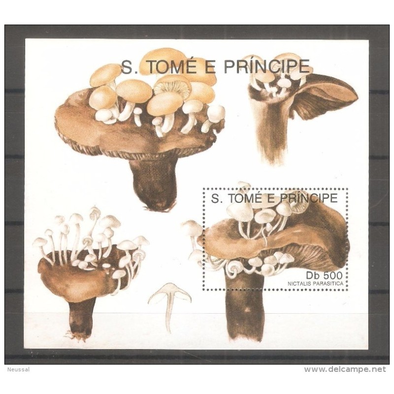 Hb108 S Tome e principe hongos Hb108 S Tome e principe hongos