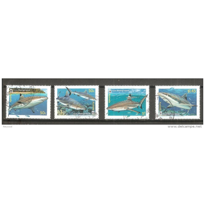 Sellos tiburones australia Sellos tiburones australia
