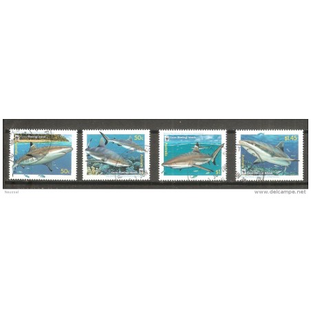 Sellos tiburones australia