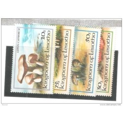 Serie n 5336 lesotho