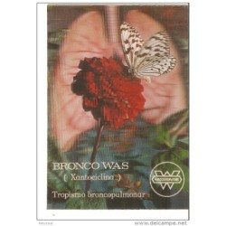 Tarjeta  de mariposas